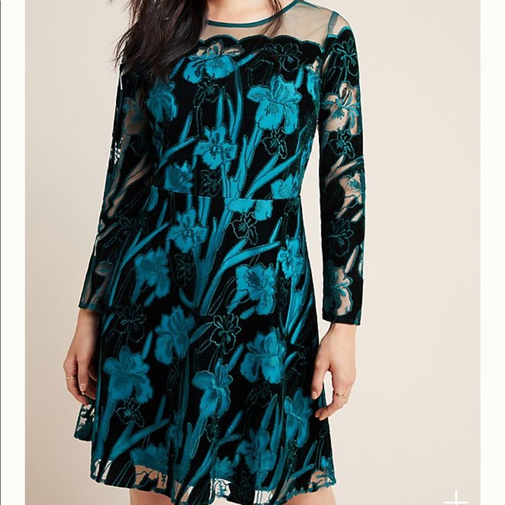 Anthropologie embroidered velvet mini dress